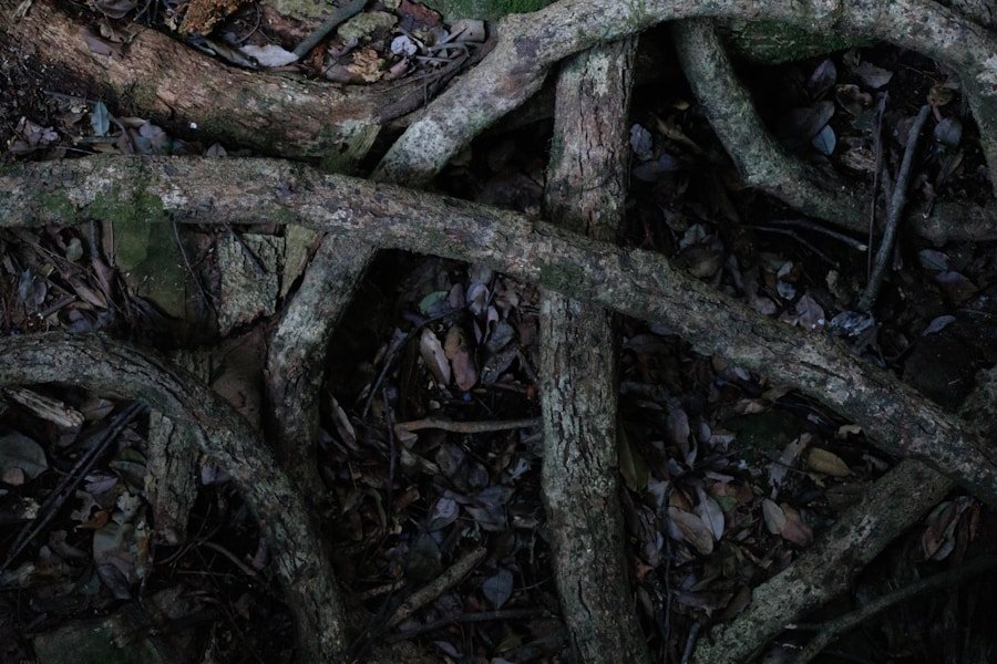 Lessons from Nature: How Ecosystems Can Inspire Organizational Growth