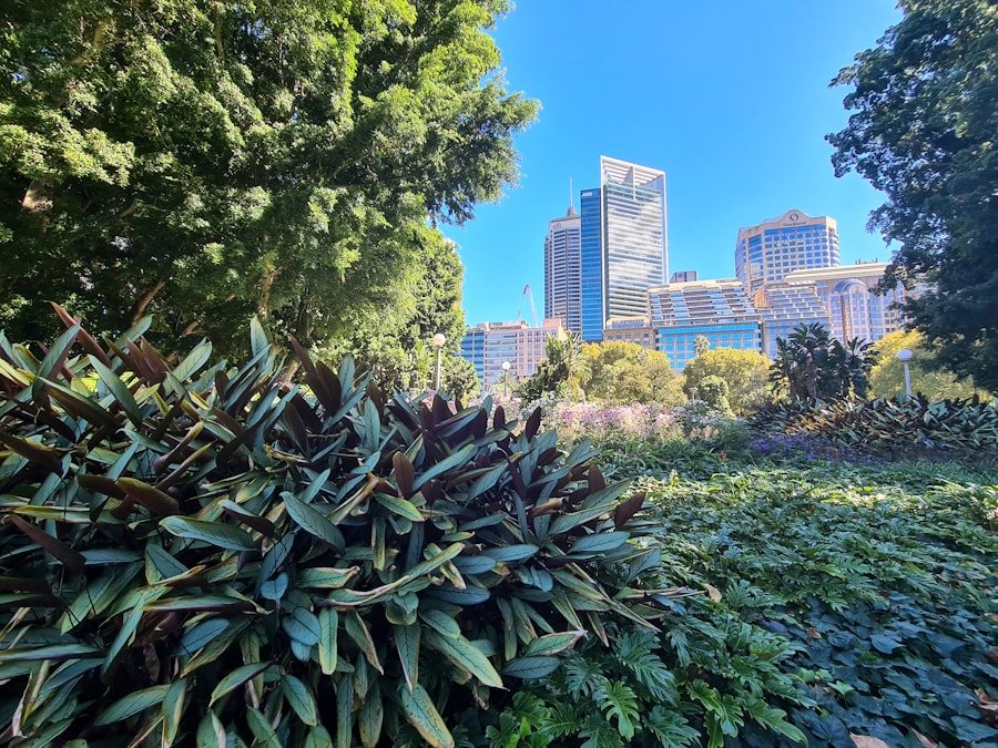 From Sustainable to Thriving: The Rise of Regenerative Thinking