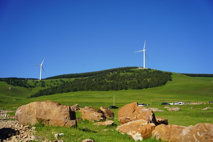 From Code to Conservation: The Most Innovative Sustainable Digital Initiatives