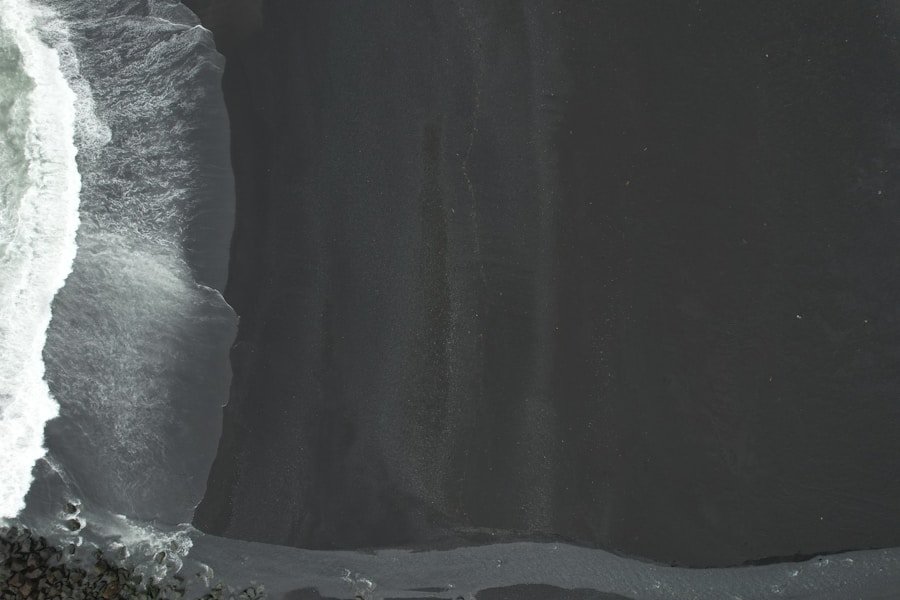 From Natal to Pernambuco: Understanding the Varied Uptake of Circular Seals