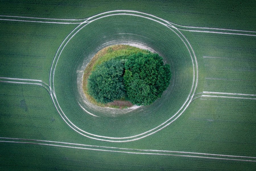 The UAE’s Sustainability vs Circular Economy: A Comparative Analysis of Environmental Impact