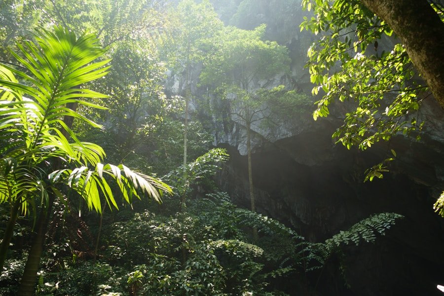 Green Getaways: Comparing Eco-Certified Retreats in Costa Rica and Dubai