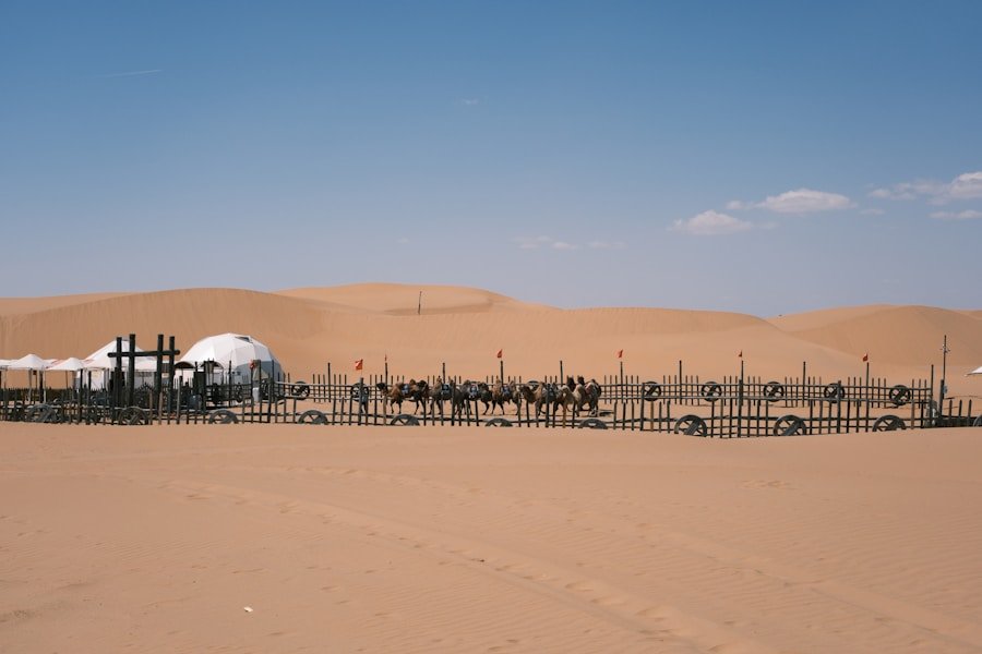 Green Getaways: Dubai’s Top Sustainable Tourism Operators for Conscious Travelers