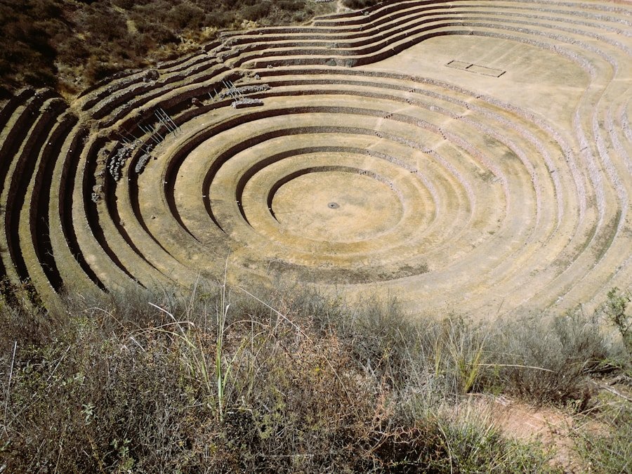 Taste the Change: Circular Gastronomy Projects Redefining Tanger’s Food Sector