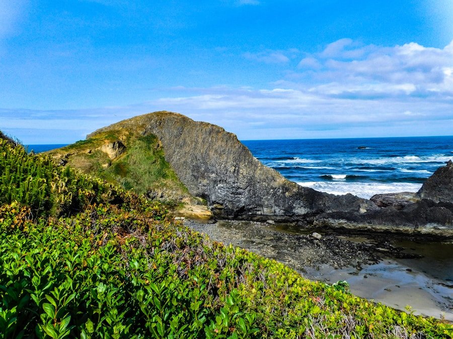 Going Green: The Top Eco Certification Programs for Businesses and Products