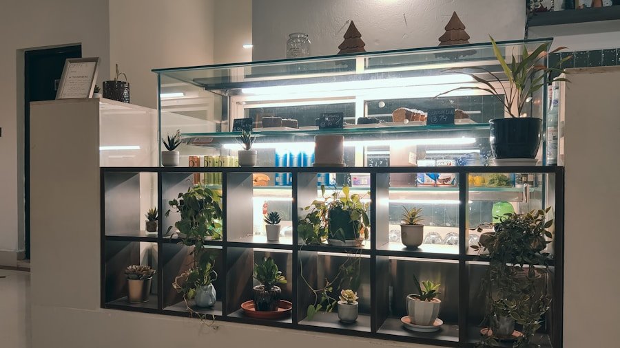 From Concept to Reality: The Best Sustainable Retail Layouts in Action