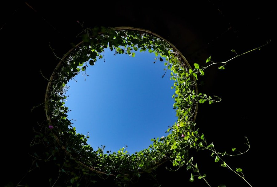 The Future is Circular: Discover Dubai’s Most Promising Eco-Innovative Startups