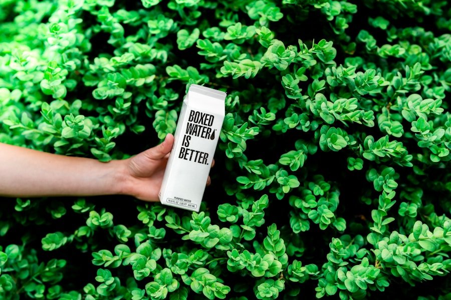 From Niche to Mainstream: How to Grow Your Eco Brand with our Playbook