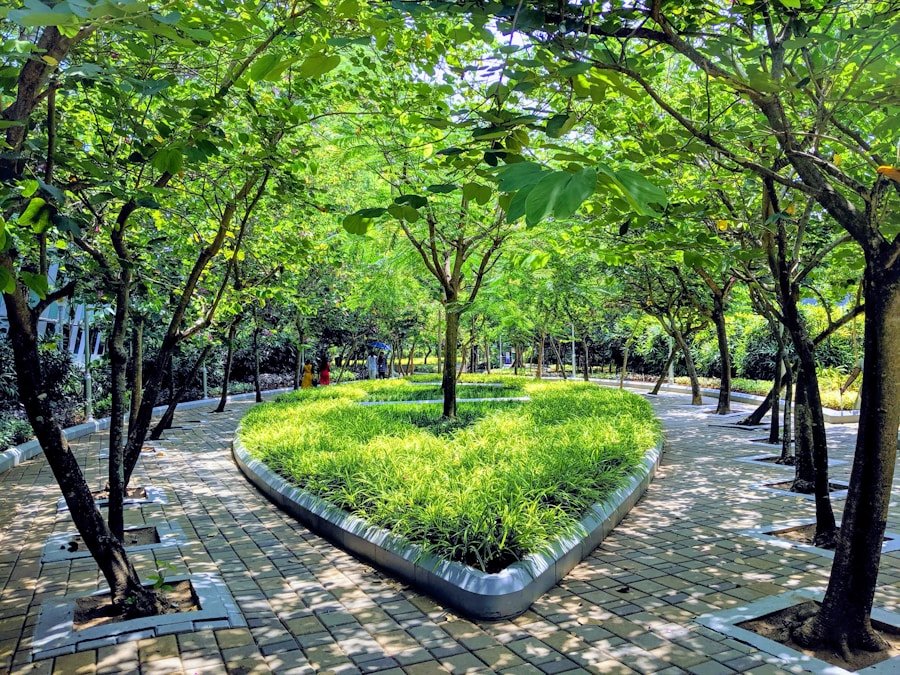 The Power of Connection: How Rebiore Academy Unites Ecology and Human Energy