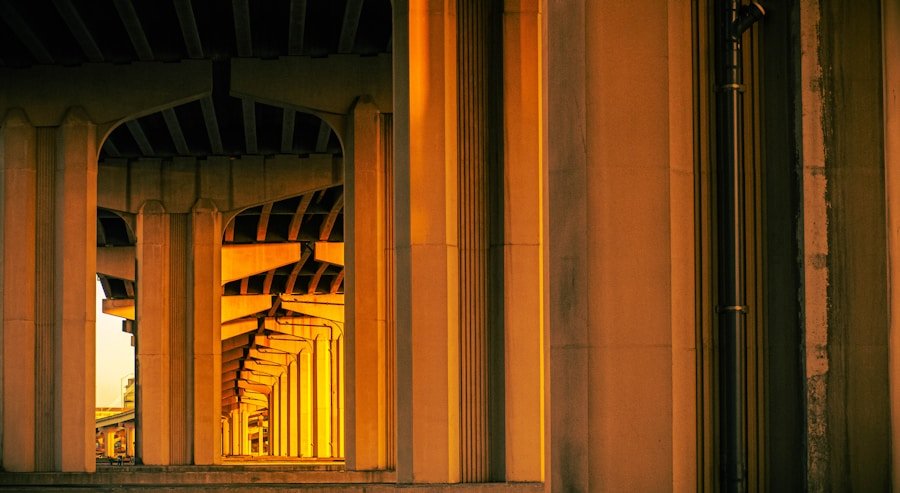 Franchise vs. Replication: Which Expansion Model is Right for Your Business?